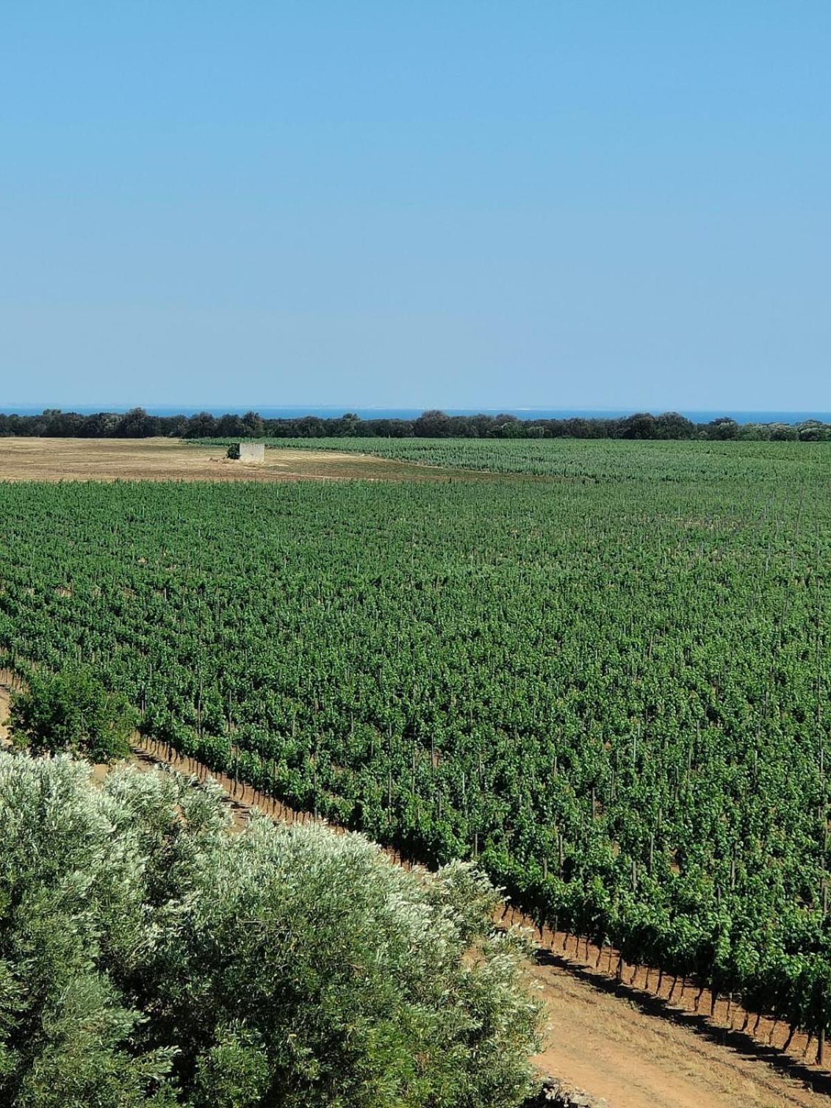 מנדוריה Nordisk Village Puglia מראה חיצוני תמונה
